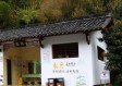颜值爆表的公厕，城市中的意外惊喜与打卡新风尚